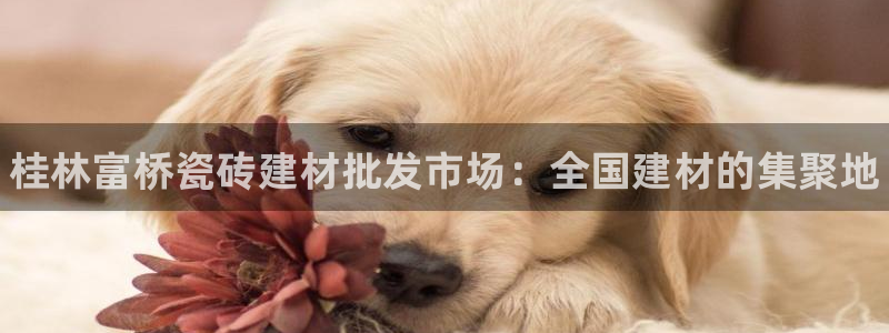 杏鑫注册登录平台