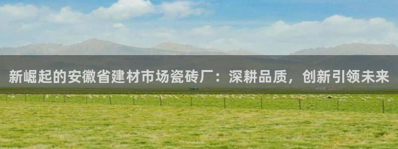 杏鑫官方平台怎么样啊