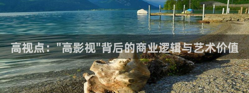 在线影院aaaa：高视点：\