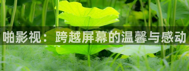 午夜aaa电影：啪影视：跨越屏幕的温馨与感动