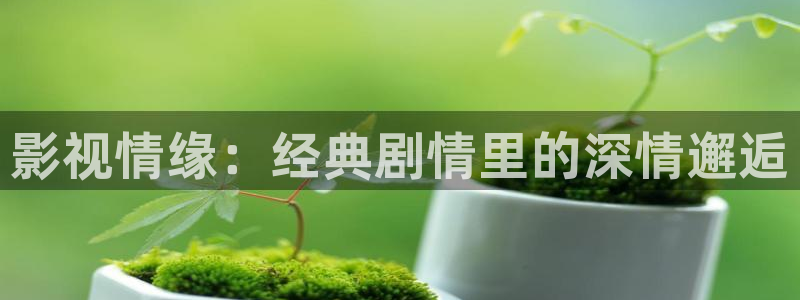 欧美aaaaa电影：影视情缘：经典剧情里的深情邂逅