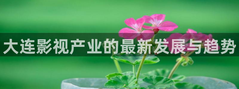 欧美成人aa电影：大连影视产业的最新发展与趋势