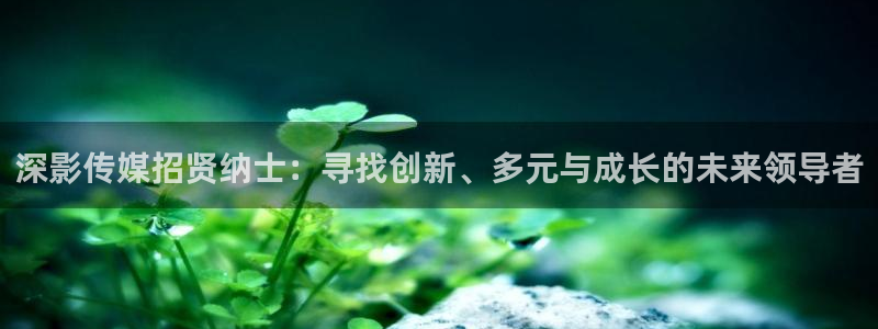 aa午夜电影aa：深影传媒招贤纳士：寻找创新、多元与成长的未来领导者